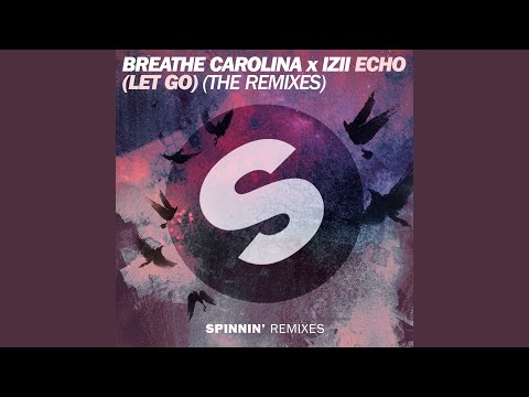 ECHO (LET GO) (Radio Remix)