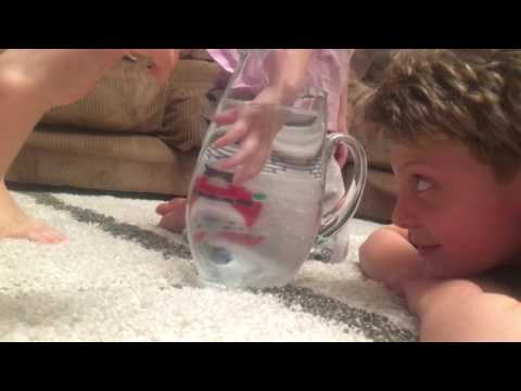 TOY REVIEW: HEXBUG AQUABOT WAHOO!!