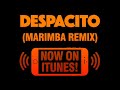 Despacito Marimba Remix Ringtone
