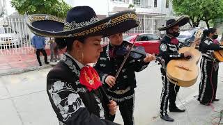Video de Mariachi Nueva Luna