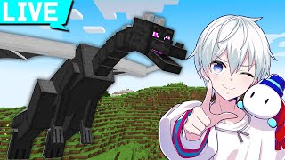 【マイクラ】リセット無しエンドラ討伐!
