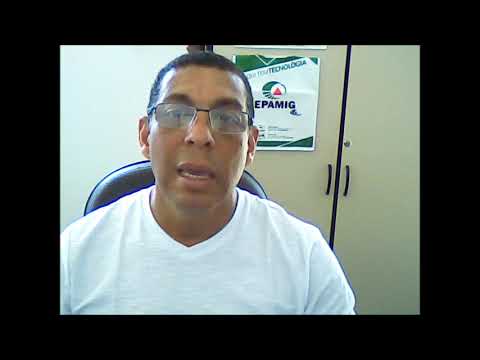 Pitch Hudson Teixeira