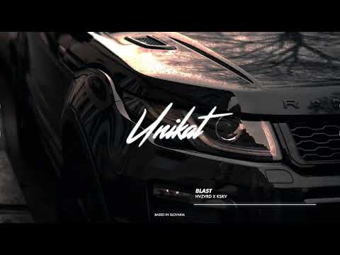 HVZVRD X KSKV - BLAST