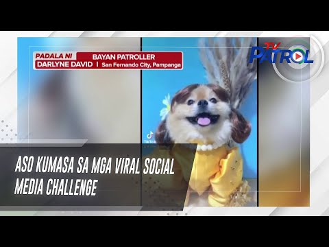 Aso kumasa sa mga viral social media challenge TV Patrol