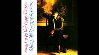 Van Dyke Parks - Public Domain