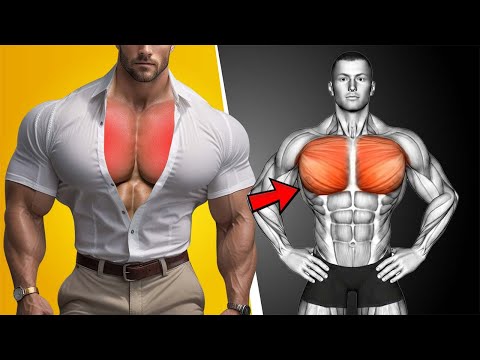5 Chest Workouts That Transform Your Physique