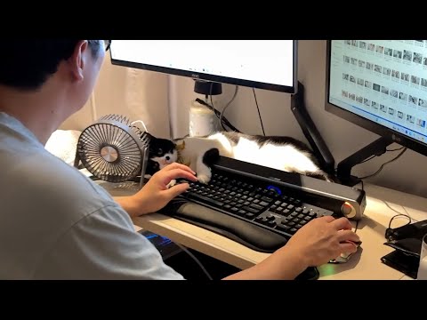 요즘 영상이 짧아진 이유