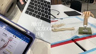 med school vlog | productive busy first week back as a year 2 med student, musculoskeletal system 🦴