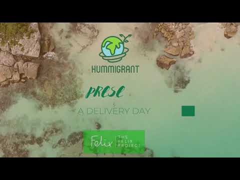 The Felix Project: A Delivery Day