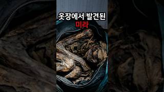 Download lagu 2003년 유명 야구선수 아내 실종, 1년 뒤 옷장에서 발견된 패딩 주머니 속 충격적 단서 mp3