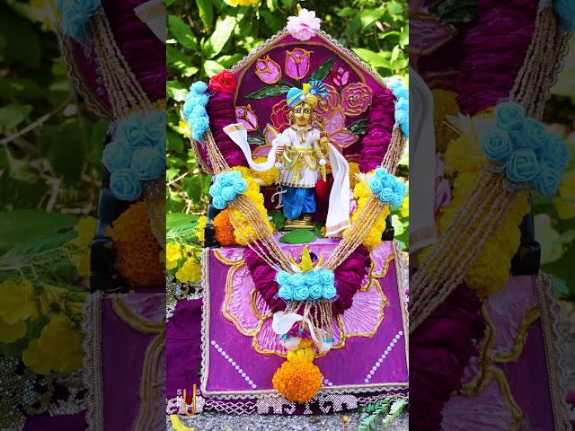 હરિકૃષ્ણ મહારાજ