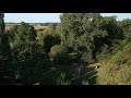 BIG GARDEN