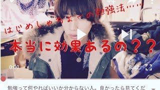 【勉強してみた】はじめしゃちょーのやり方って効果あるの？【外伝】
