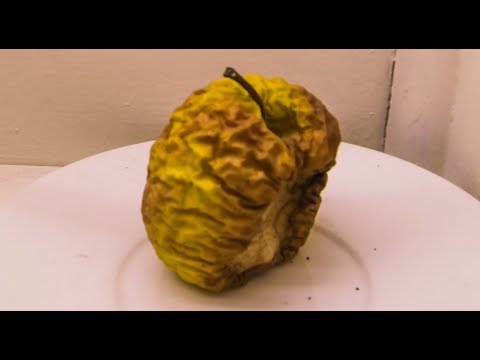 75 days timelapse of apple dehydrating