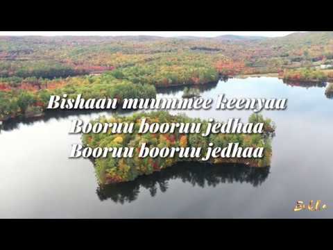 TAADDASAA FIIXEE - XAAFII QUCUUCCATTEE - Lyrics