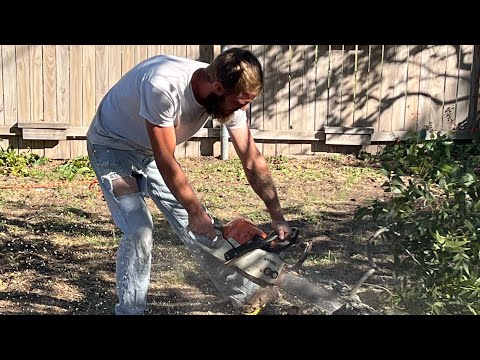 Pecan tree removal Gorman Texas pt4