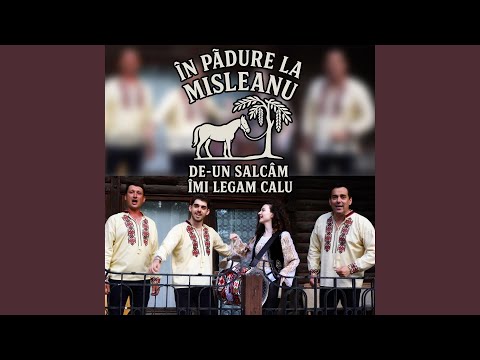 In padure la misleanu, de-un salcam imi legam calu