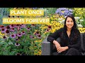 15 Perennial Flowers That Will Transform Your Garden (All Season Long!)