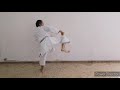 Mawashi Geri Rengeri