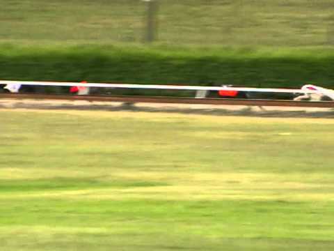 European Derby 2nd semifinal 492m MIX A2 greyhound