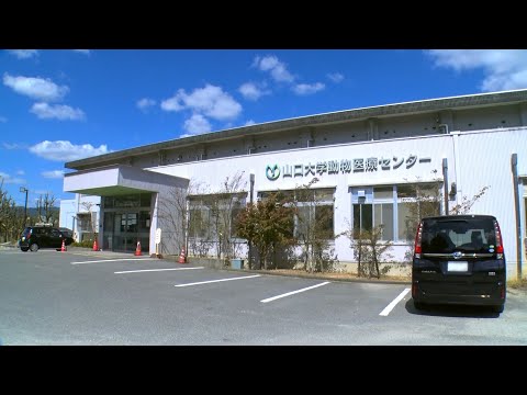 【山口大学HCD2020／共同獣医学部】動物医療センターの紹介