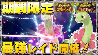 【最新】★7「最強メガニウム」のレイドイベント開催が決定！ハピナスレイドも再度出現！！【ポケモンSV/スカーレットバイオレット】