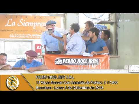 03-12-18  Venta de Vientres - Pedro Noel Irey SRL - Brandsen