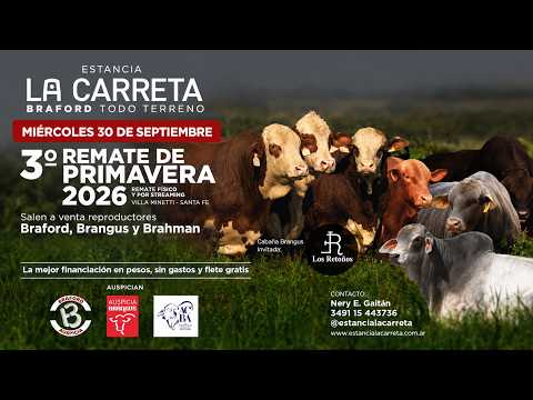 🔴📡 EN VIVO  | 3° Remate de Primavera Estancia La Carreta