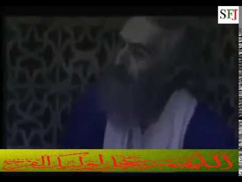 Ali ibne Mehziar, Allama Hilli