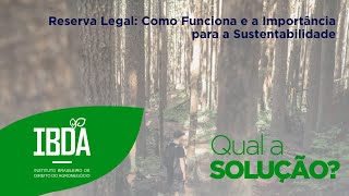 Reserva legal: como funciona e a importância para a sustentabilidade