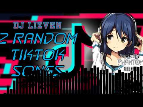 Dj Lizven - 2 Random Tiktok Songs [Tekno Remix]