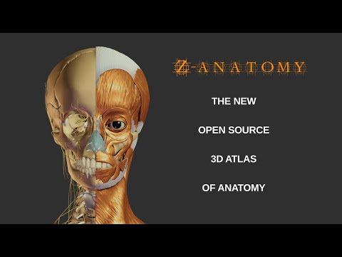 Z-Anatomy video