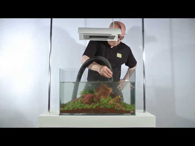 The Making of 'Five Stones' Aquascape and Guide to Iwagumi Layout by James Findley