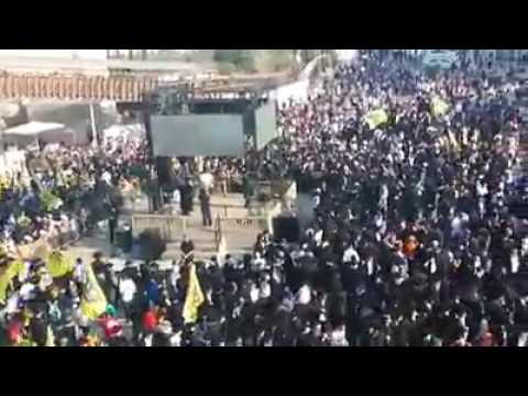 70 Chabad Sifrei Torah at the Kotel