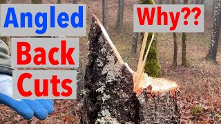 Silly Angled Back Cuts Why They are Dangerous and Ineffective