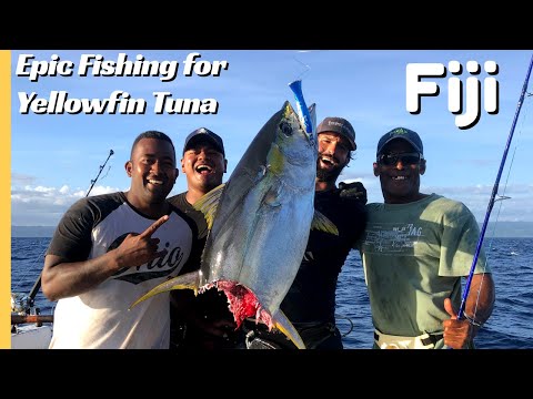 Crazy Yellowfin Tuna fishing in Fiji - Huge baitball and Tuna breaks the gaff!