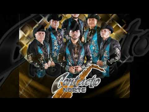 Contacto Norte - El Rock Del Sapo 2020