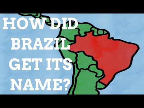 How Did Brazil Get Its Name?