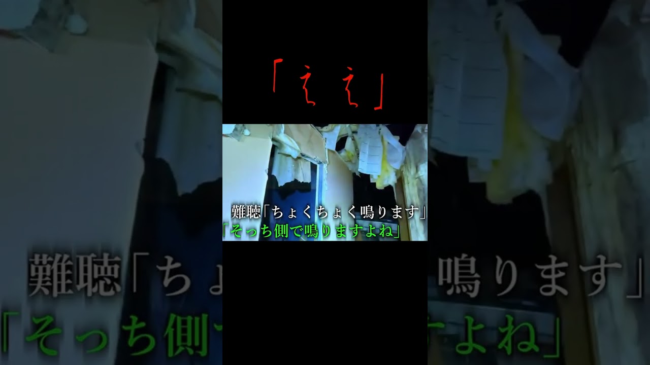 声と物音パート３ #恐怖 #怪現象 #心霊スポット #ホラー #ねこ