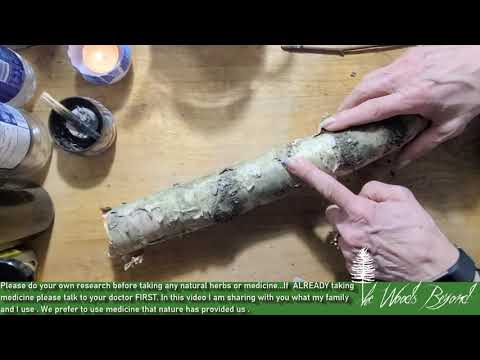 BIRCH BARK TEA BENEFITS Building Your Home Natural Medicine Cabinet  | THE WOODS BEYOND