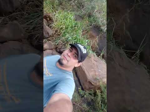 Pasando el rato (pesca rio Paraná misiones puerto piray)
