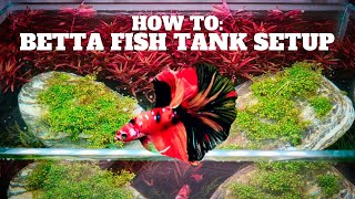 SIMPLE BETTA NANO TANK AQUARIUM SETUP UNS 3N - HOW TO SETUP BETTA FISH TANK - SIAMESE FIGHTING FISH