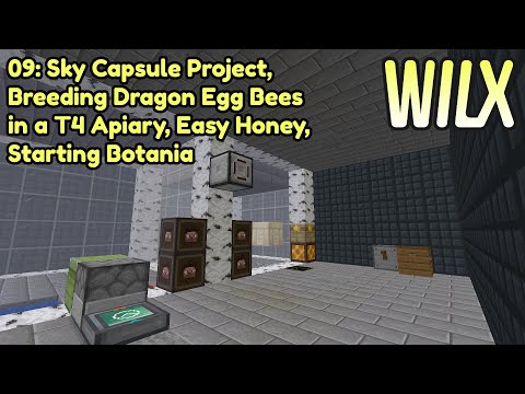 09: Breeding Dragon Egg Bees, Easy Honey - Sky Capsule Project