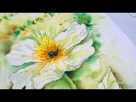 Brusho Magic Lesson #5: Watch Me Create a Vibrant WHITE Flower with Watercolor Crystals 🌹✨