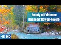 The Beauty of Existence Nasheed (Slowed+Reverb) | Relaxing Meditation Deep and Calm Sleep, Soothing.