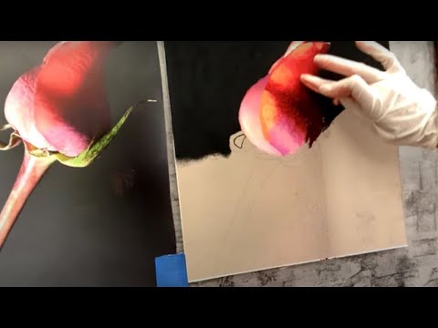 Sangita Phadke - Painting Incredible Flowers