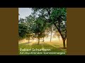 Schumann: Symphony No. 4 in D Minor, Op. 120 - IV. Langsam - Lebhaft - Schneller - Presto