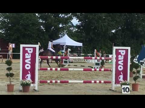 Babalou As v. Balous Bellini,  M** Wadersloh