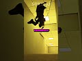 ️ BACKROOMS ️ Top 3 Ways To KILL AN ENTITY In THE BACKROOMS Found Footage