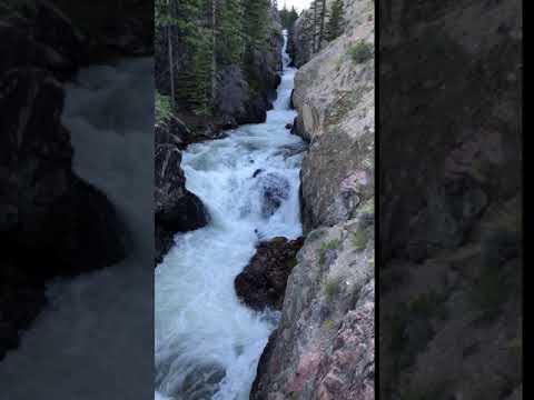 The rushing waters of Torrey Creek from the bridge on Glacier Trail 801